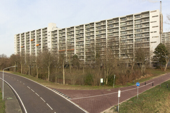 Molenbossen 482