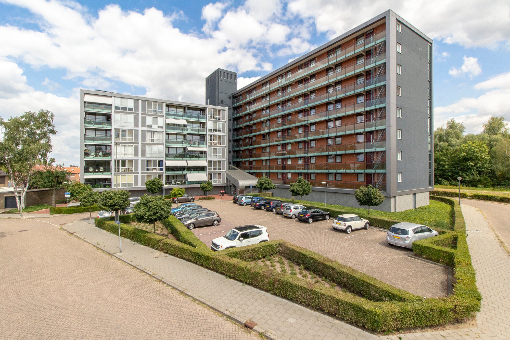 Windhond 101